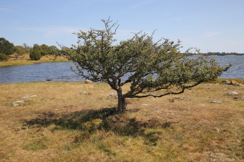 By car through Blekinge, Skåne and Småland, 2019