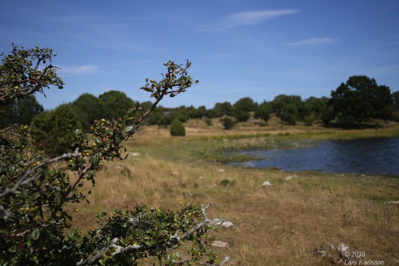 By car through Blekinge, Skåne and Småland, 2019