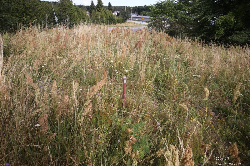 By car through Blekinge, Skåne and Småland, 2019