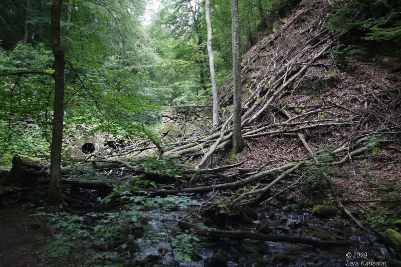 By car through Blekinge, Skåne and Småland, 2019