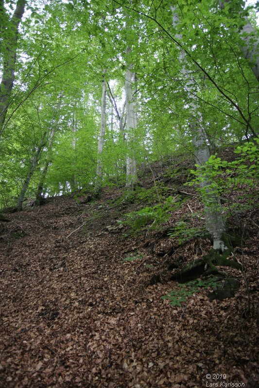 By car through Blekinge, Skåne and Småland, 2019