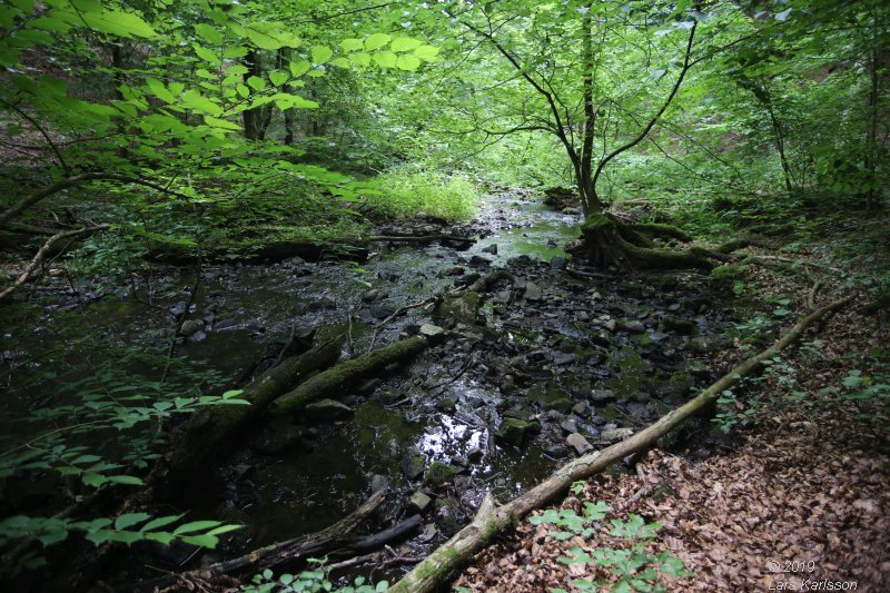 By car through Blekinge, Skåne and Småland, 2019