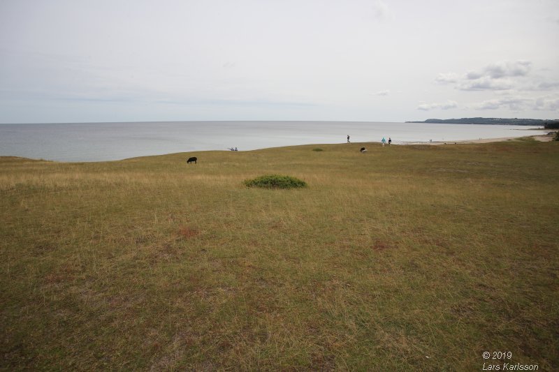 By car through Blekinge, Skåne and Småland, 2019