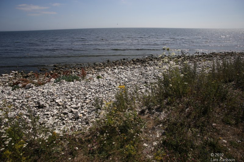 By car through Blekinge, Skåne and Småland, 2019