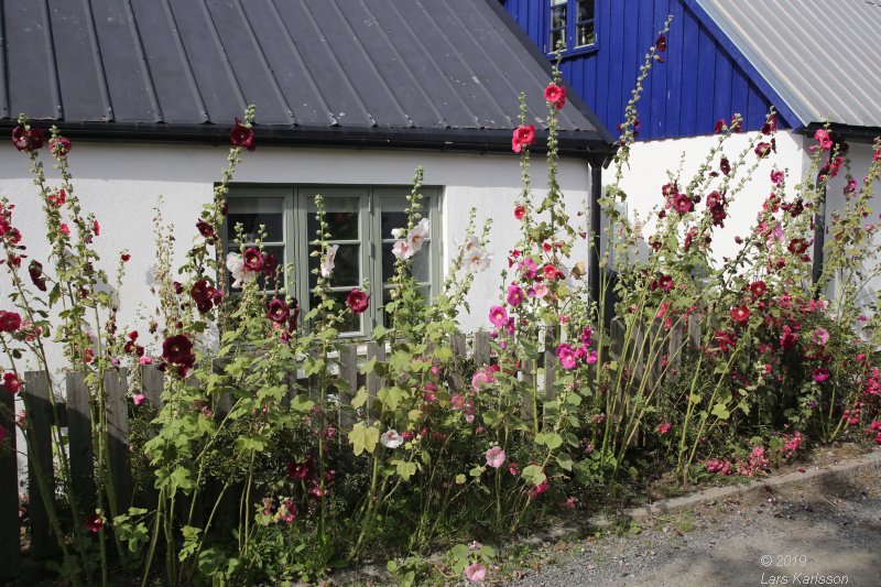 By car through Blekinge, Skåne and Småland, 2019