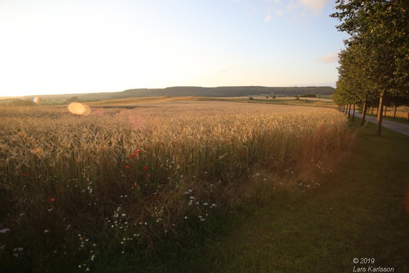 By car through Blekinge, Skåne and Småland, 2019