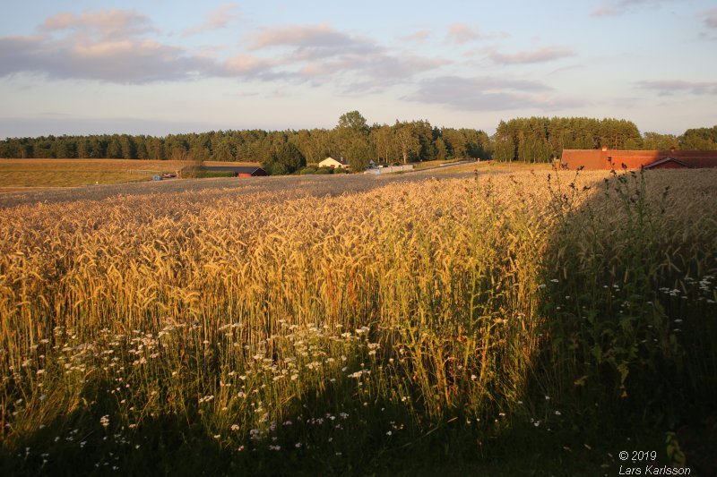 By car through Blekinge, Skåne and Småland, 2019