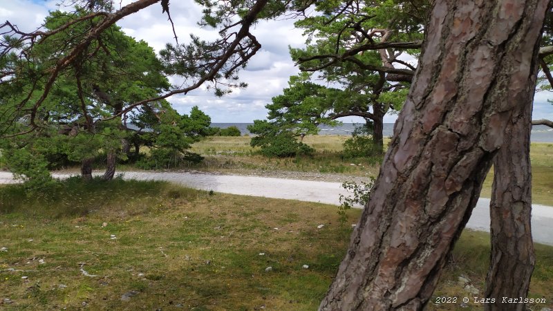 A visit to the Swedish island Gotland, 2022