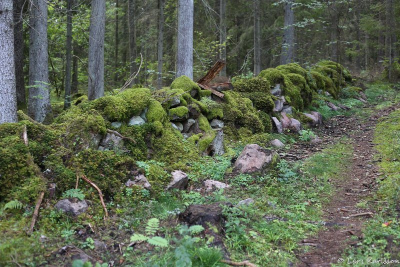 Minnesfjällets mill stone mine, Lugnås