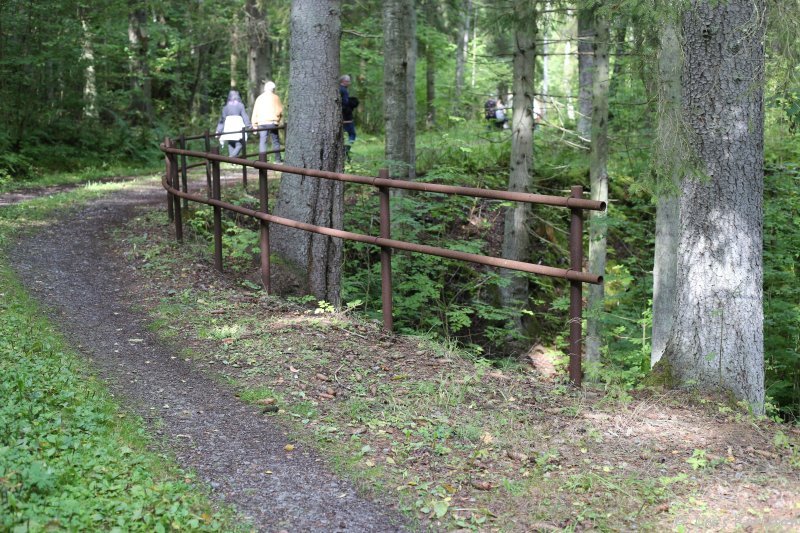 Minnesfjällets mill stone mine, Lugnås