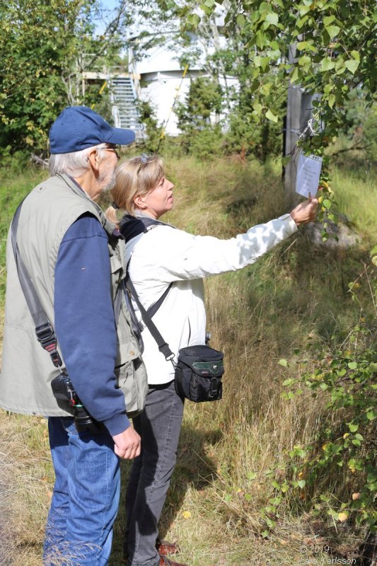 MAK, Mariestad Star Party and other places in middle of Sweden, 2019