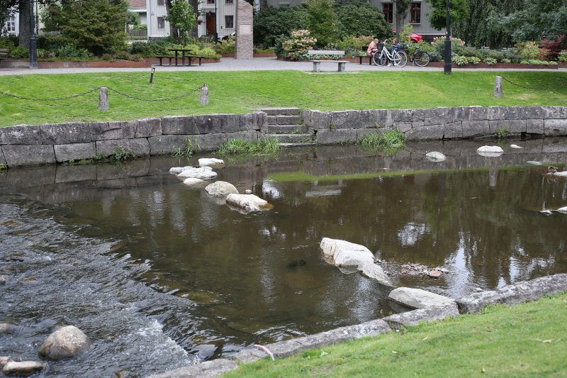 MAK, Mariestad Star Party and other places in middle of Sweden, 2019