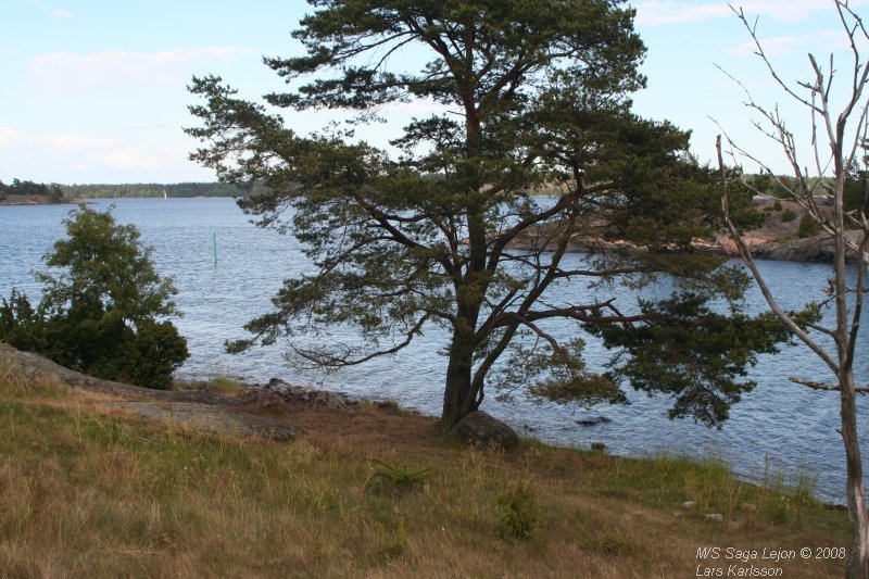 A cruise with M/S Saga Lejon, from Stockholm to Nyköping, 2008