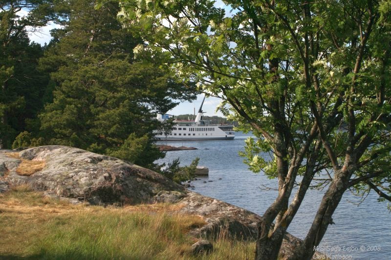 A cruise with M/S Saga Lejon, from Stockholm to Nyköping, 2008