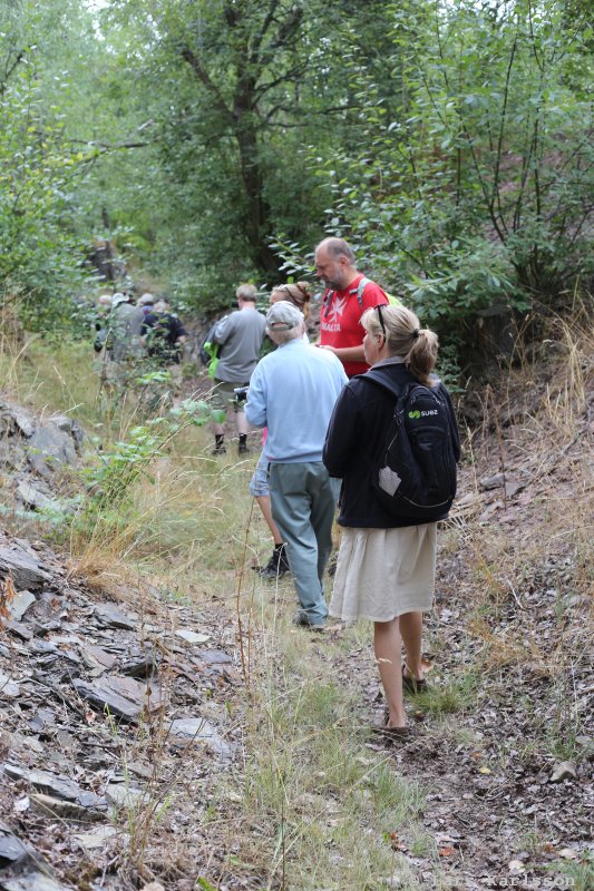 Sagittarius, geology guided tour at Öland, Degerhamn Sweden