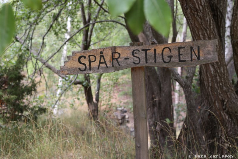 Sagittarius, geology guided tour at Öland, Degerhamn Sweden