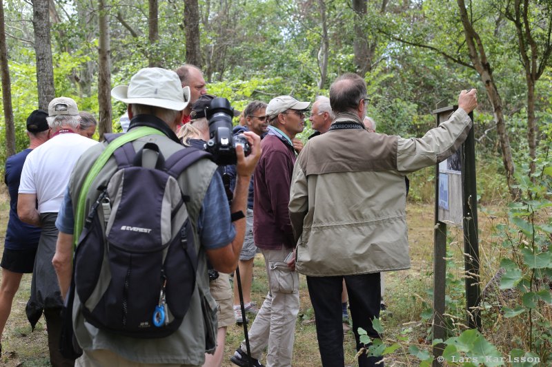 Sagittarius, geology guided tour at Öland, Degerhamn Sweden