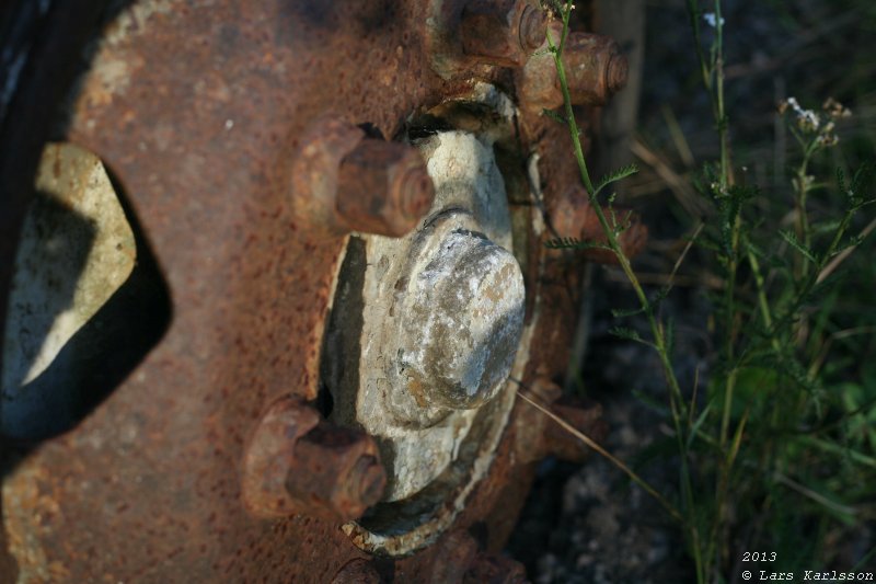 The abandoned truck in the forest, 2013